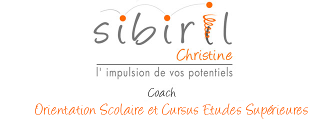 Christine sibiril coach professionnel